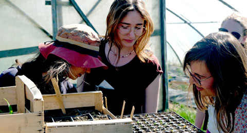 Freiwilliges Ökologisches Jahr Freiwilliges Ökologisches Jahr