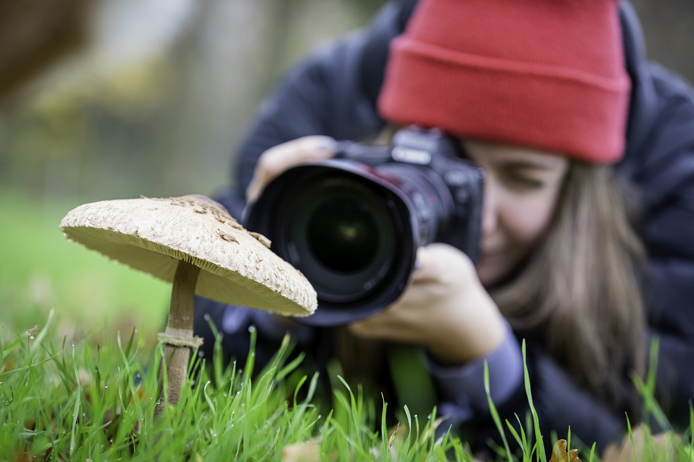 Frau macht eine Nahaufnahme von einem Pilz
